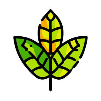 1 (4066).png